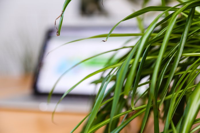 computer liana cookiebot