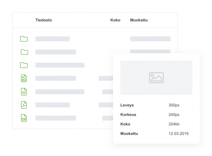 View of Liana CMS tool with file management