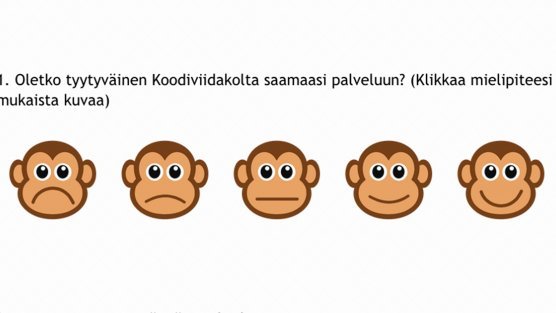 Case: Kyselyt osana sähköistä viestintää